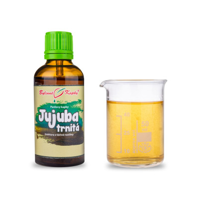 Jujuba trnitá semena tinktura TCM 50 ml | Pavlovy bylinné kapky