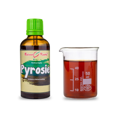 Tinktura z pyrosie jazykovité|Pyrosie jazykovitá|Fytoterapia|Bylinné kvapky|Pavlove tinktúry|SHI WEI