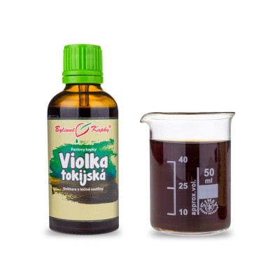 Tinktura z violky tokijské|Violka tokijská|Fytoterapia|Bylinné kvapky|Pavlove tinktúry|ZI HUA DI DING